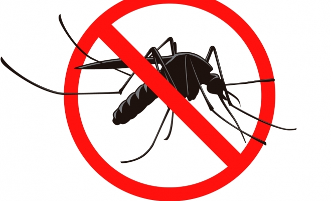 Anti moustiques 